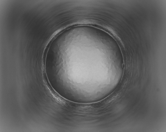 X0000067480837200604211631