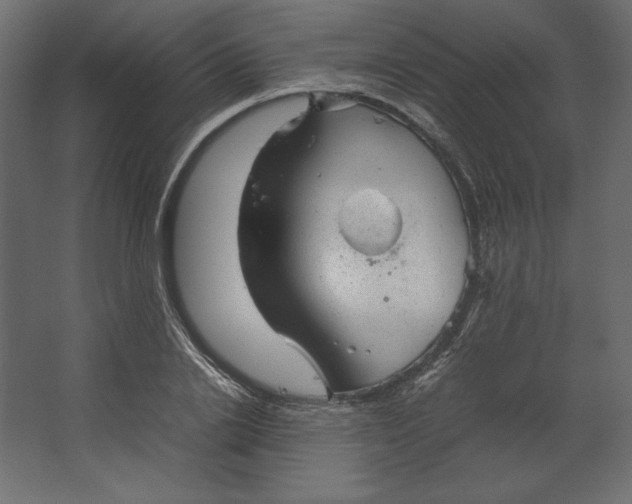 X0000067480838200604211631