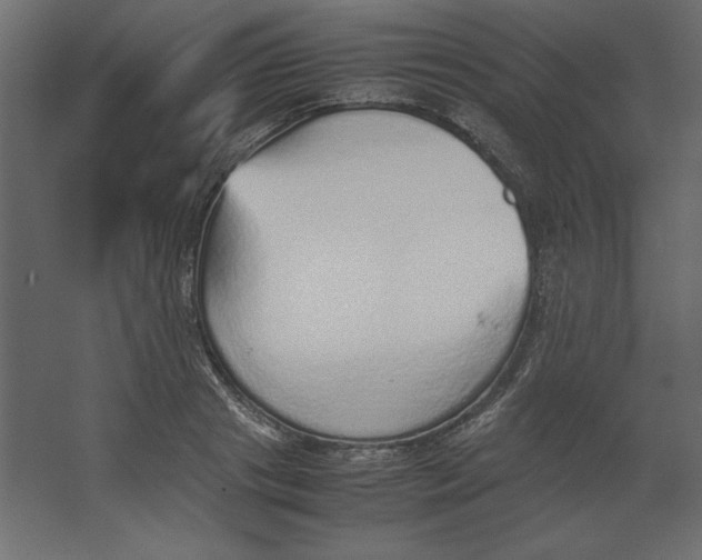 X0000067480841200604211631