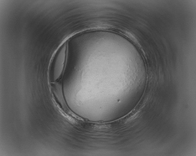 X0000067480843200604211631