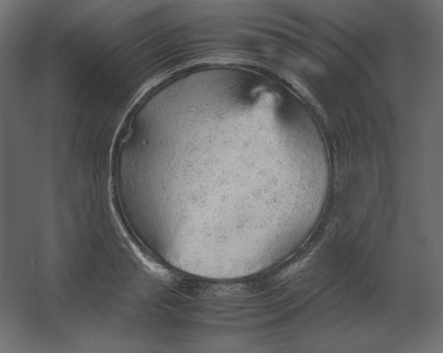 X0000067480845200604211631