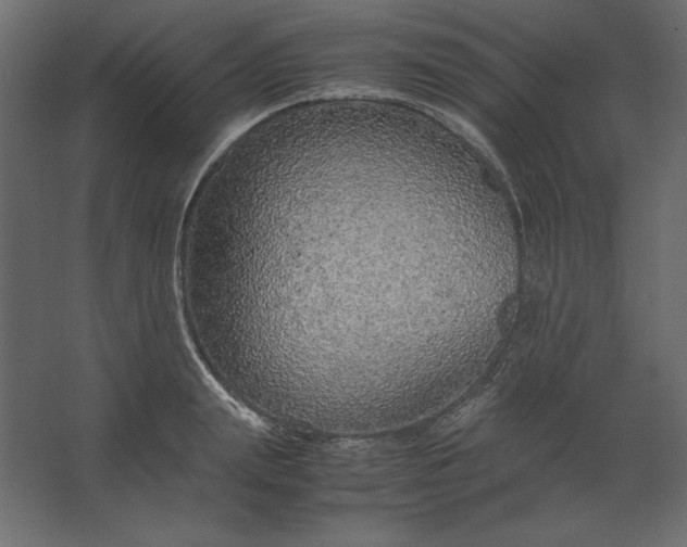 X0000067480847200604211631