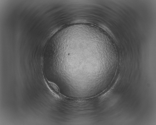 X0000067480849200604211631