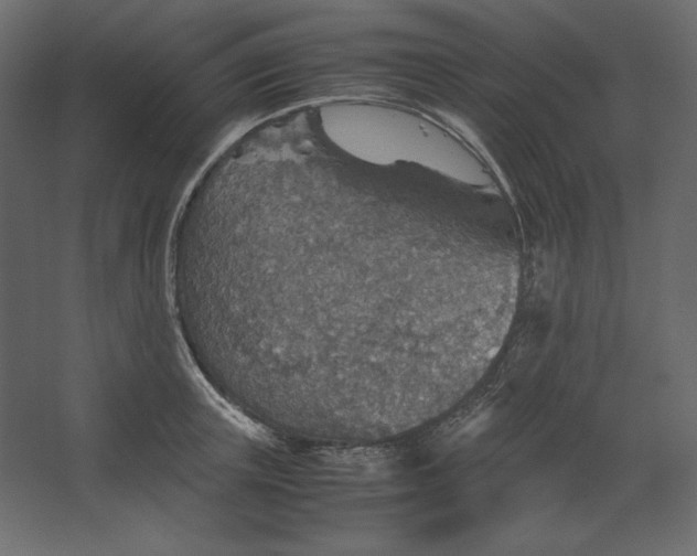 X0000067480851200604211631