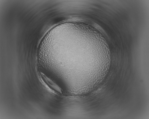 X0000067480852200604211631