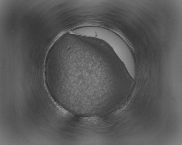 X0000067480853200604211631