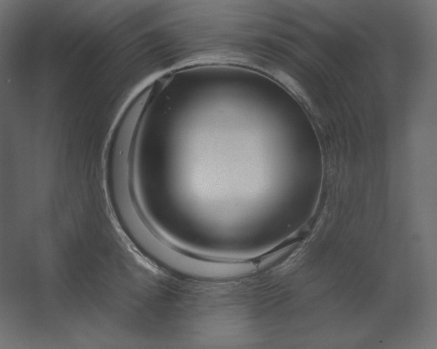 X0000067480854200604211631