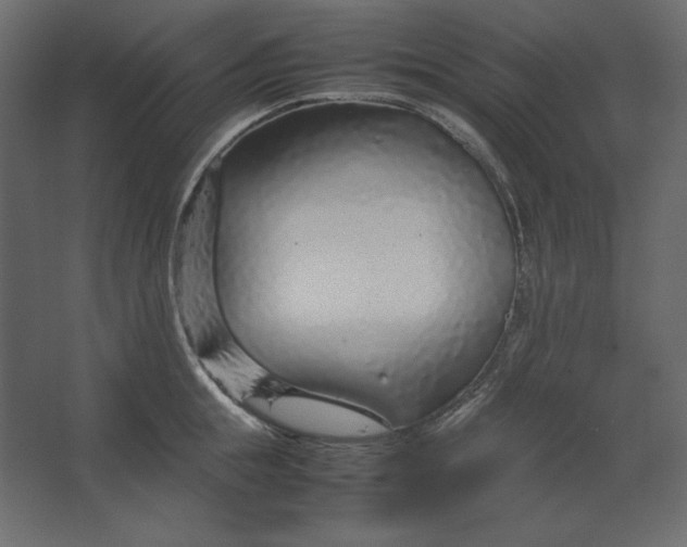 X0000067480855200604211631