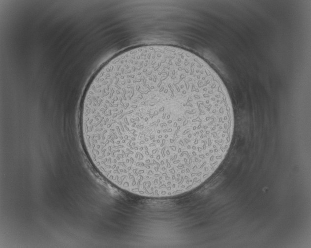 X0000067480856200604211631