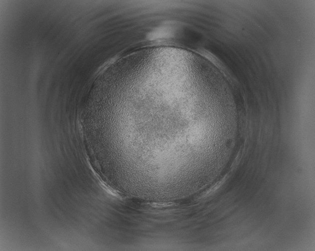 X0000067480857200604211631