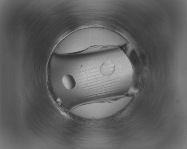 X0000067480858200604211631