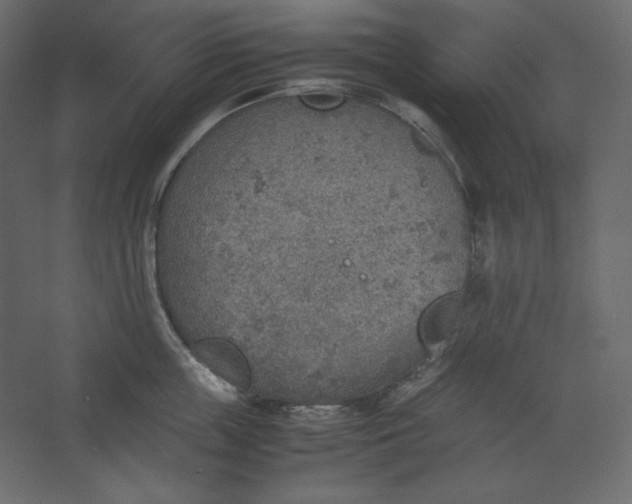 X0000067480859200604211631