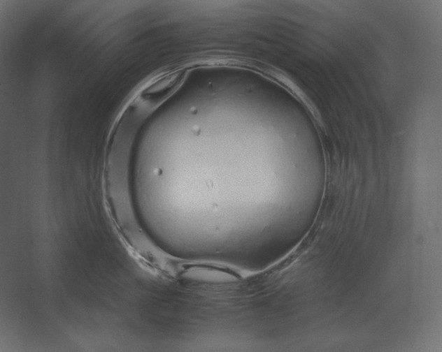 X0000067480861200604211631