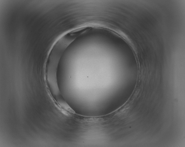 X0000067480862200604211631