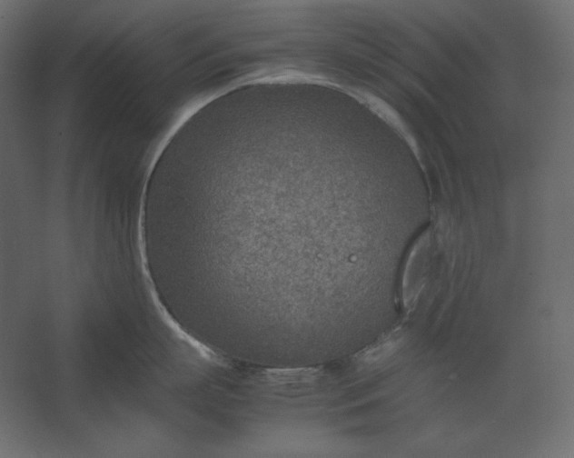 X0000067480863200604211631