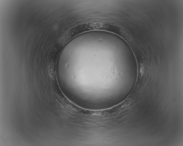 X0000067480867200604211630