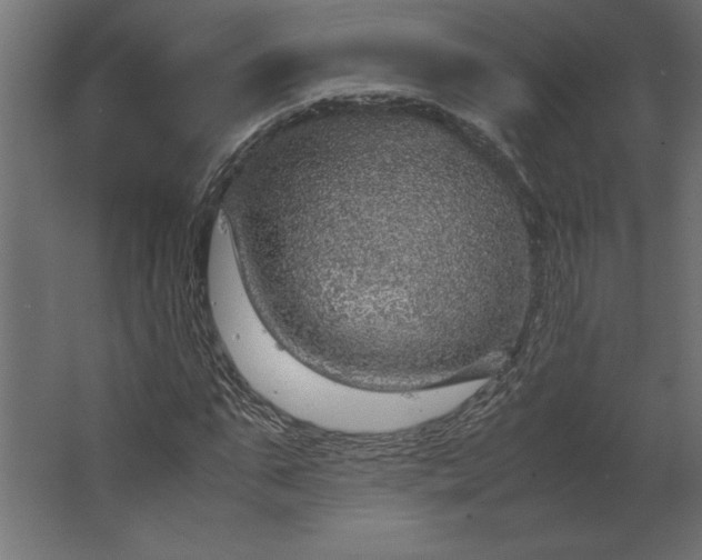 X0000067480871200604211630