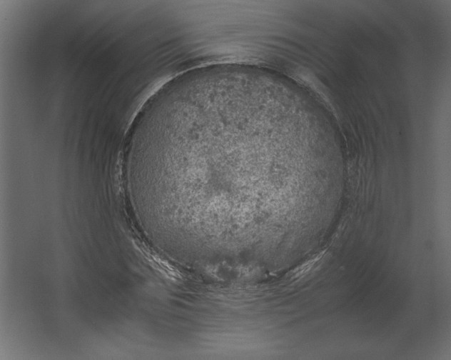 X0000067480875200604211630