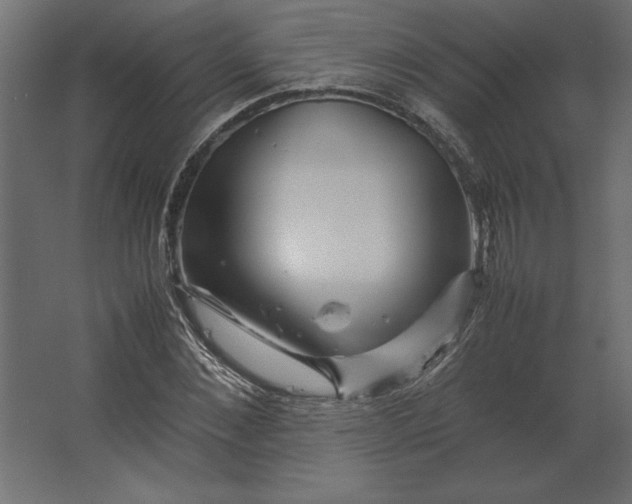 X0000067480876200604211630