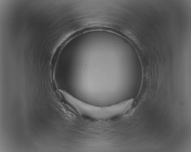 X0000067480877200604211630