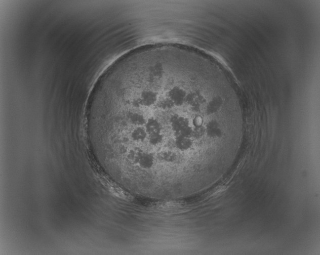 X0000067480879200604211630