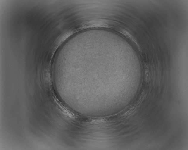 X0000067480882200604211630