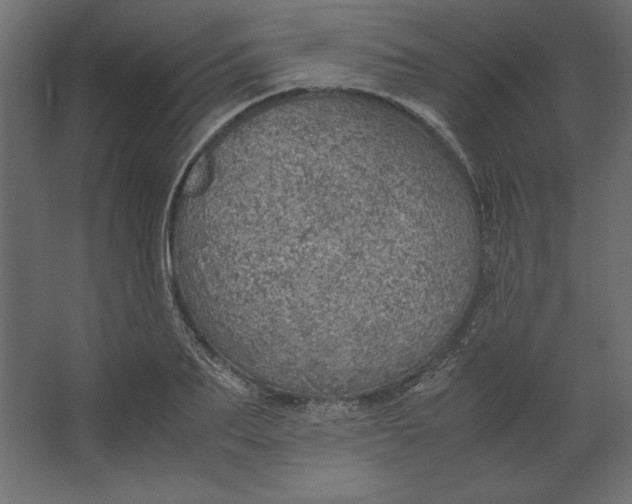 X0000067480887200604211630