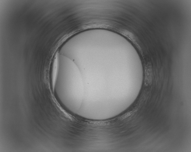 X0000067480890200604211630