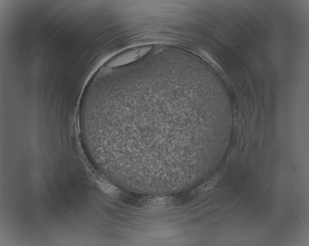 X0000067480891200604211630