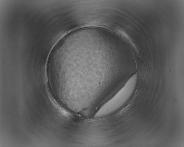 X0000067480892200604211630