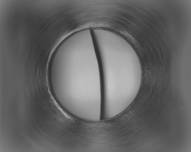 X0000067480894200604211630