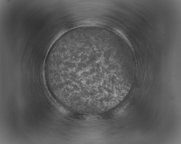 X0000067480899200604211630