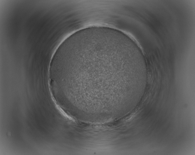 X0000067480903200604211630