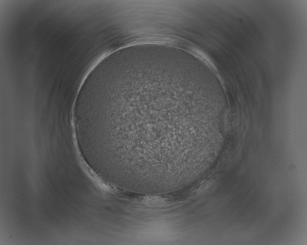 X0000067480907200604211630