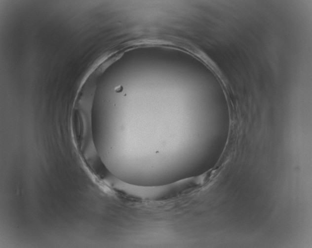 X0000067480909200604211630