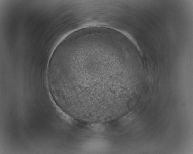 X0000067480911200604211630