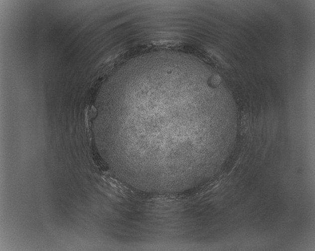 X0000067480917200604211629