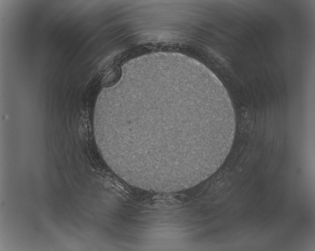 X0000067480918200604211629