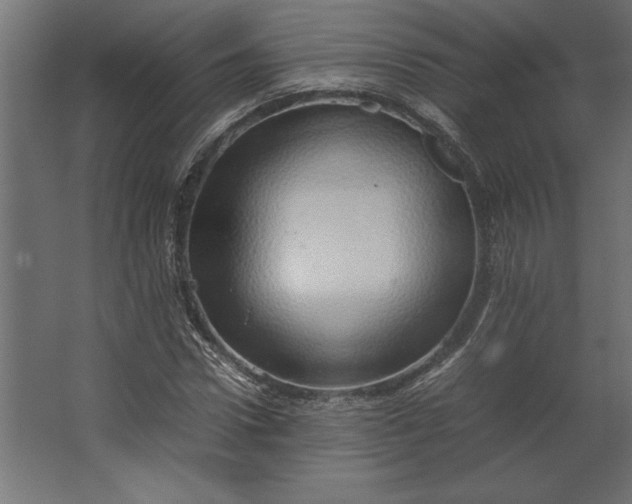 X0000067480922200604211629