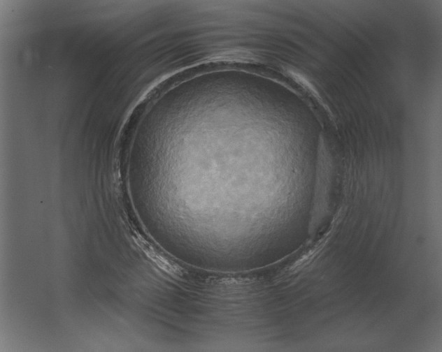 X0000067480923200604211629