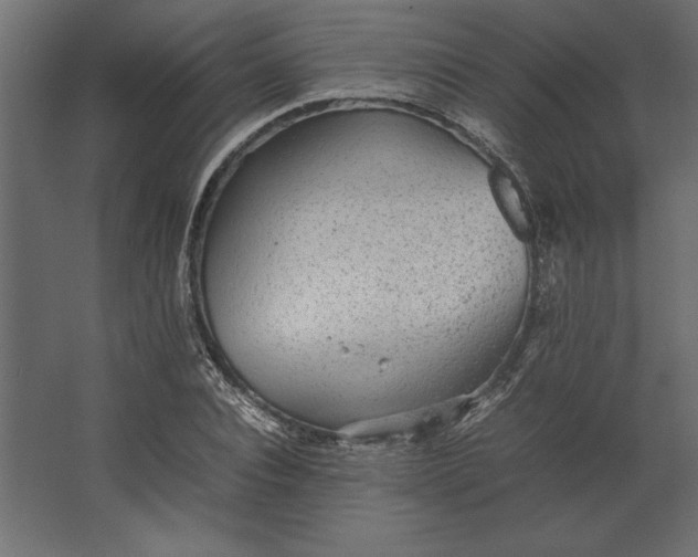 X0000067480928200604211629