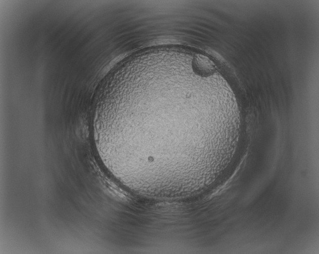 X0000067480929200604211629