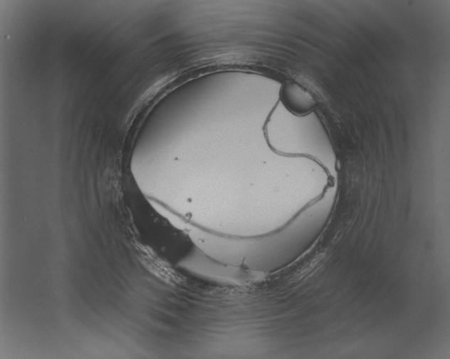 X0000067480930200604211629