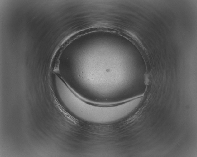 X0000067480931200604211629