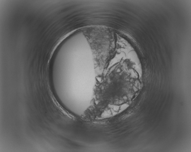 X0000067480933200604211629