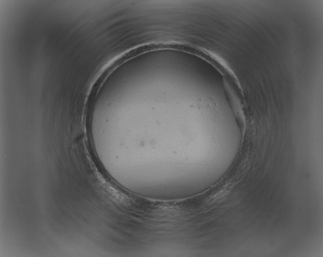 X0000067480935200604211629