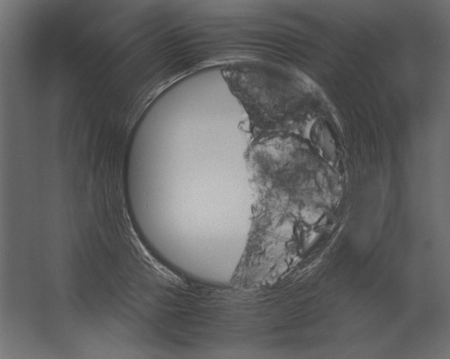 X0000067480937200604211629