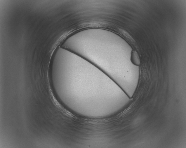 X0000067480938200604211629