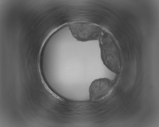 X0000067480941200604211629