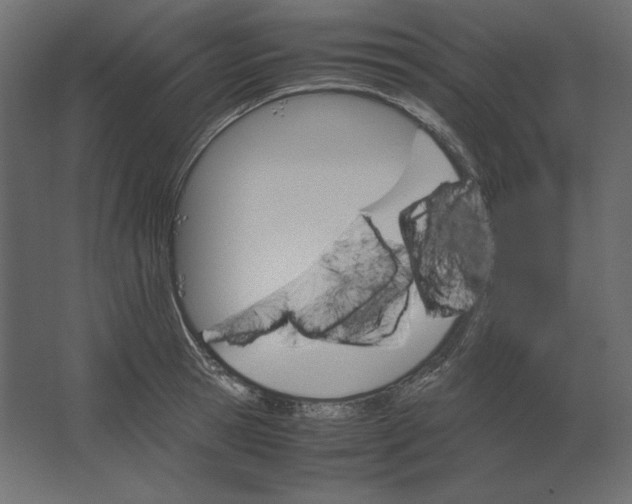 X0000067480945200604211629